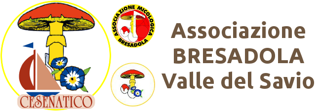 http://AMB%20-%20Delegazione%20Di%20Cesenatico