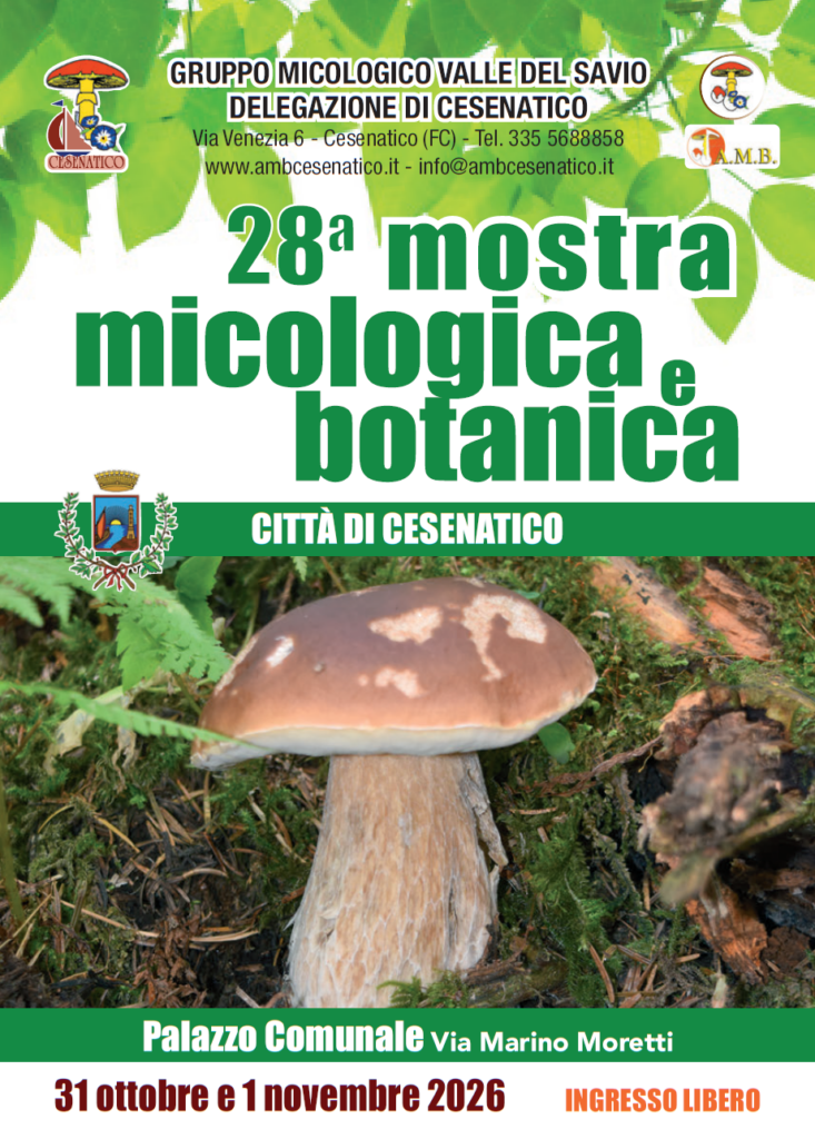 Mostra2026